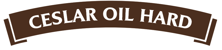 Заголовок секции 